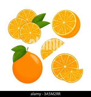 Orange. Oranges segmentées sur fond blanc, fruits de saison juteux, agrumes. Illustration vectorielle. Illustration de Vecteur