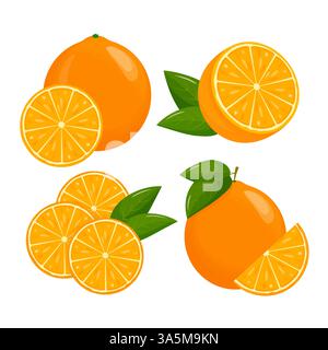 Orange. Oranges segmentées sur fond blanc, fruits de saison juteux, agrumes. Illustration vectorielle. Illustration de Vecteur