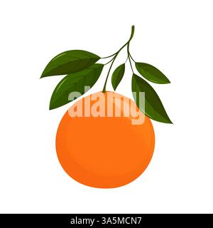 Orange juteux avec des feuilles vertes est suspendu à une branche Illustration de Vecteur