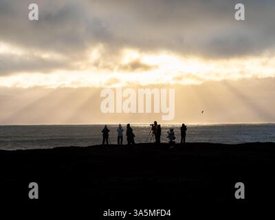 Les photographes de Valahnúkamöl capturent un coucher de soleil doré alors que les rayons du soleil traversent des nuages spectaculaires au-dessus de l'océan Atlantique Banque D'Images