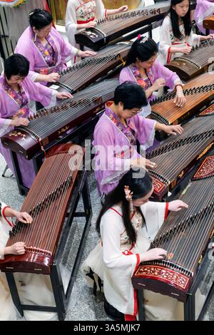 L'Harmony Guzheng ensemble joue leurs cithères chinoises lors du festival Qing Ming célébrant le printemps au Calgary Chinese Cultural Centre Banque D'Images