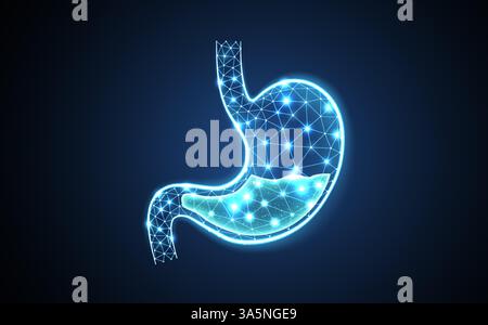 Illustration abstraite de l'estomac filaire. Anatomie de l'estomac, gastro-entérologie 3D. Illustration de Vecteur