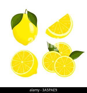 Tranches de citron. Agrumes frais, citrons à moitié tranchés. Le citron est un fruit aigre et riche en vitamine C. style plat. Illustration vectorielle Illustration de Vecteur