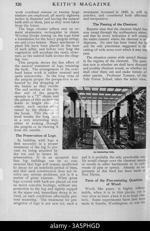 En 1916, l'architecte Max L. Keith lance Keith's Magazine on Home Building, une publication présentant des conceptions détaillées de maisons, des plans d'étage et des estimations de coûts de construction. Il offre une variété de styles architecturaux, des articles sur l'aménagement intérieur et paysager, et des annonces pour l'ameublement et les matériaux de maison. Certains numéros comportent des plans pour les églises et les écoles. Banque D'Images