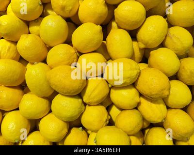 Pile de fruits de citron jaune du haut, sur un panier. Citron de bonne qualité dans de belles nuances de couleur jaune. Banque D'Images