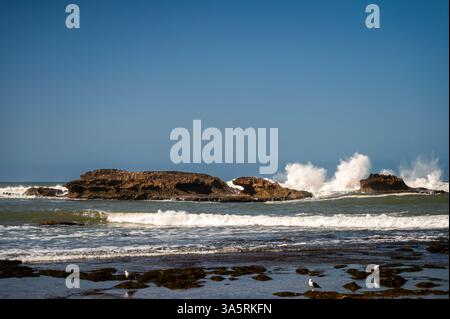 De fortes vagues se brisent contre des rochers accidentés sur la côte d'Essaouira, au Maroc, par une journée ensoleillée. Banque D'Images