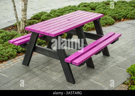 table de pique-nique rose et bancs dans les espaces publics. sièges en bois peints de couleurs vives Banque D'Images