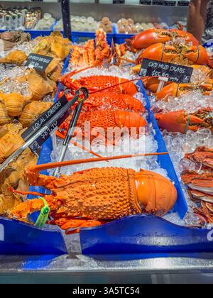 Homard cuit, cuit, couleur rouge sont en vente comme fruits de mer sur le marché australien aux poissons. Gold Coast, Queensland, Australie Banque D'Images