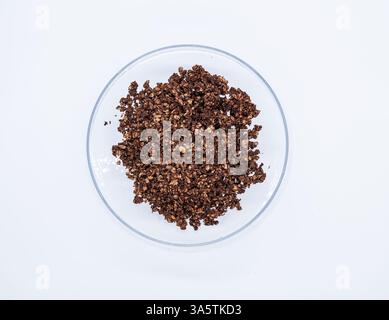Un bol en verre transparent rempli d'un mélange sombre et friable avec du grain de sarrasin et des céréales au chocolat. La texture apparaît croquante et légèrement brillante, définie Banque D'Images