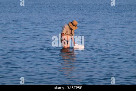 Rab, Croatie - 24 juillet 2024 : une personne portant un chapeau de paille se tient à la taille dans une eau bleue calme, examinant un récipient blanc. La scène véhicule une paix Banque D'Images