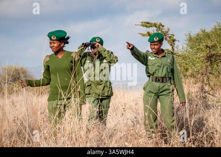 Kenya : membres de la « Lioness Team », une unité ranger entièrement féminine composée de 17 femmes de la communauté Massaï. Ici, en patrouille à Amboseli National Pa Banque D'Images