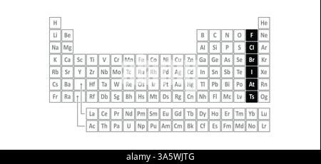Les halogènes ou formeurs de sel les éléments du groupe halogène sont le fluor, le chlore, le brome, l'iode, l'astatine et la tennessine. Ces toxiques, non méta Banque D'Images