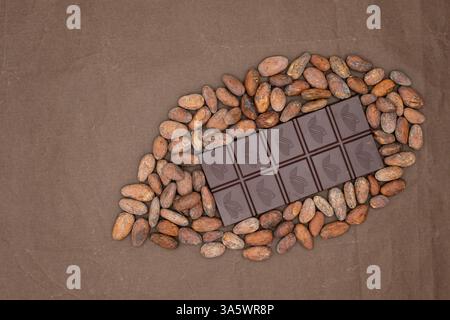 Cacao fruit est conçu à partir de barre de chocolat et de fèves de cacao. Fond de papier de soie de couleur chocolat. Banque D'Images