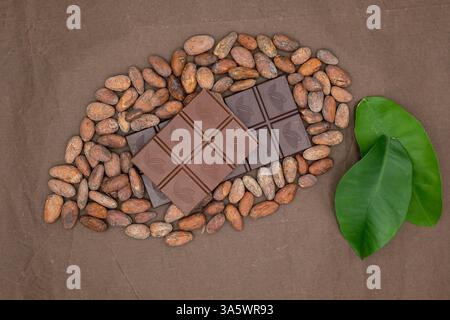Cacao fruit est conçu à partir de barre de chocolat et de fèves de cacao. Feuilles vertes. Fond de papier de soie de couleur chocolat. Banque D'Images