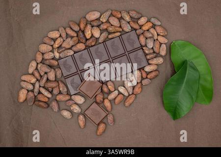 Cacao fruit est conçu à partir de barre de chocolat et de fèves de cacao. Feuilles vertes. Fond de papier de soie de couleur chocolat. Banque D'Images