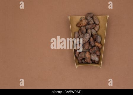 Fèves de cacao dans la tasse en papier à moitié jetable. Cacao durable. Boisson au cacao. Fond de papier de soie de couleur chocolat. Copier l'espace. Banque D'Images