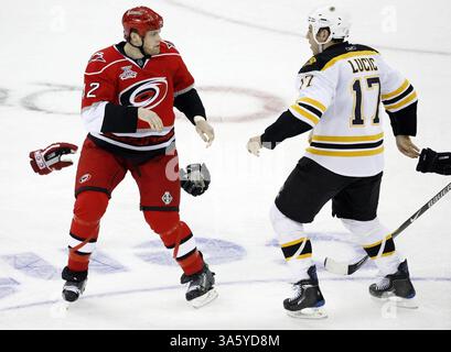 19 février 2008 - Tim Gleason (42) des Hurricanes de Caroline et Milan Lucic (17) des Bruins de Boston laissent tomber les gants alors qu'ils se préparent à se battre dans les dernières minutes de la troisième période. Les Bruins ont battu les Hurricanes en prolongation, 3-2, au RBC Center de Raleigh, Caroline du Nord, le mardi 19 février 2008. (Chris Seward/Raleigh News & observer/MCT) (image crédit : © Chris Seward/MCT/ZUMAPRESS.com) Banque D'Images