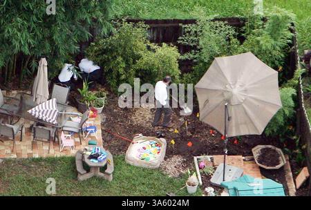 18 juillet 2008 - les enquêteurs recherchent des indices dans la cour arrière de la maison des grands-parents de Caylee Marie Anthony, âgée de 2 ans, à Orlando, en Floride, le vendredi 18 juillet 2008. Casey Anthony, la mère de Caylee Marie, a été arrêtée mercredi sur suspicion de négligence envers un enfant, fournissant de fausses déclarations officielles et faisant obstruction à une enquête criminelle. L'enfant a disparu depuis plus d'un mois. (Red Huber/Orlando Sentinel/MCT) (crédit image : © Red Huber/MCT/ZUMAPRESS.com) Banque D'Images