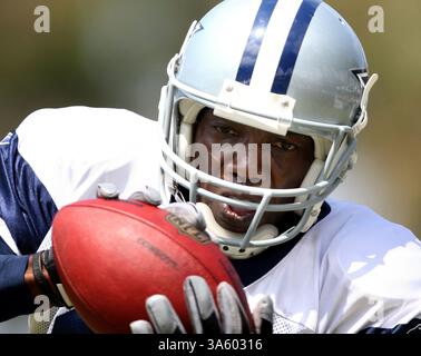 Le 29 juillet 2008 - Terrell Owens, receveur des Dallas Cowboys, obtient un laissez-passer pendant le camp d'entraînement à Oxnard, Californie, le mardi 29 juillet 2008. (Ron Jenkins/Fort Worth Star-Telegram/MCT) (crédit image : © Ron Jenkins/MCT/ZUMAPRESS.com) Banque D'Images