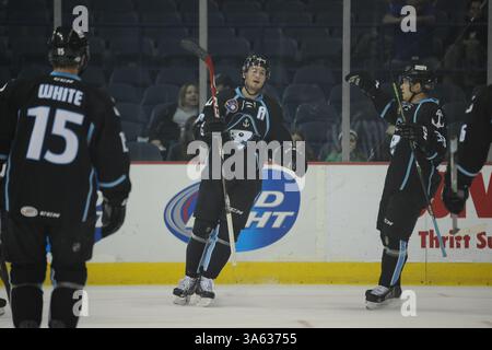 11 février 2015 : Colton Sissons (18 ans) des Milwaukee Admirals célèbre un but marqué lors du match de la Ligue américaine de hockey entre les Wolves de Chicago et les Milwaukee Admirals à l'Allstate Arena de Rosemont, Illinois. Patrick Gorski/CSM(image crédit : © Patrick Gorski/Cal Sport Media/ZUMAPRESS.com) Banque D'Images