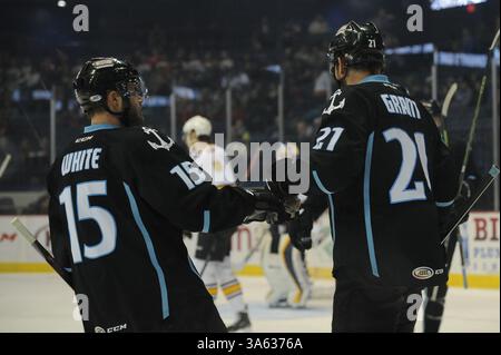 11 février 2015 : Ian White (15 ans) des Milwaukee Admirals et Triston Grant (21 ans) des Milwaukee Admirals célèbrent un but marqué lors du match de la Ligue américaine de hockey entre les Wolves de Chicago et les Admirals de Milwaukee à l'Allstate Arena de Rosemont, Illinois. Patrick Gorski/CSM(image crédit : © Patrick Gorski/Cal Sport Media/ZUMAPRESS.com) Banque D'Images