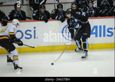 11 février 2015 : Mark Van Guilder (29) des Milwaukee Admirals contrôle la rondelle lors du match de la Ligue américaine de hockey entre les Chicago Wolves et les Milwaukee Admirals à l'Allstate Arena de Rosemont, Illinois. Patrick Gorski/CSM(image crédit : © Patrick Gorski/Cal Sport Media/ZUMAPRESS.com) Banque D'Images