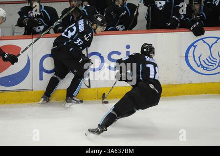 11 février 2015 : Colton Sissons des Milwaukee Admirals (18 ans) prend les palets de Viktor Arvidsson des Milwaukee Admirals (33 ans) lors du match de la Ligue américaine de hockey entre les Wolves de Chicago et les Admirals de Milwaukee à l'Allstate Arena de Rosemont, Illinois. Patrick Gorski/CSM(image crédit : © Patrick Gorski/Cal Sport Media/ZUMAPRESS.com) Banque D'Images