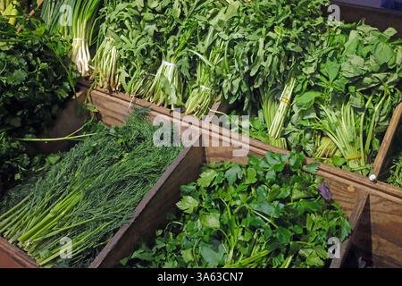 Cultivez des légumes biologiques frais, des microgreens et des légumes verts salade persil aneth rougula oignon. Marché alimentaire sain et bio Banque D'Images