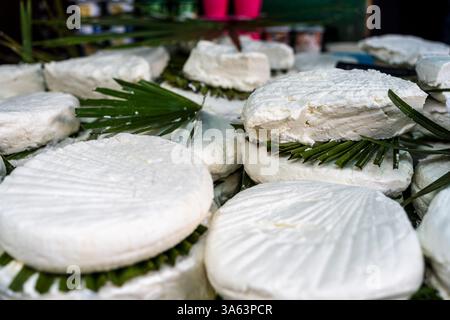 Gaufrettes de fromage typique du Rif, Tétouan, Maroc, Afrique du Nord. Banque D'Images