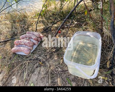 Saucisses crues pour frire sur l'herbe, à côté se trouve un récipient transparent avec de l'eau Banque D'Images