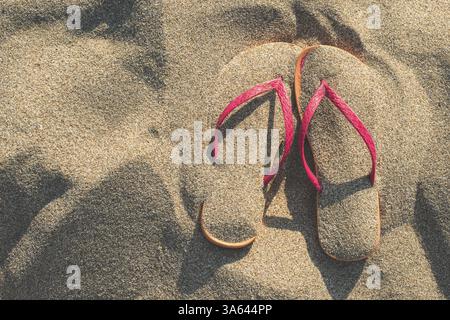 Sandales rose sur la plage dans le sable Banque D'Images