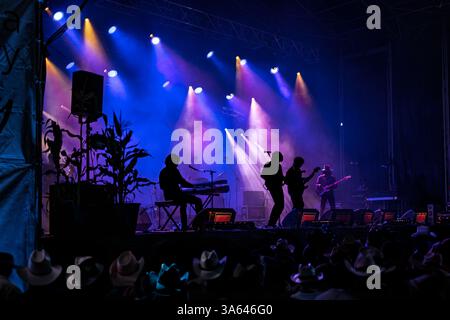 Performance live d'un groupe sur scène lors d'un concert de musique country sous un éclairage vibrant Banque D'Images