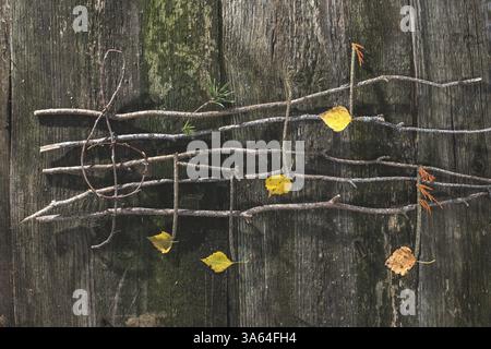 Des notes de musique la conception. Notes de musique en bois et les feuilles Banque D'Images