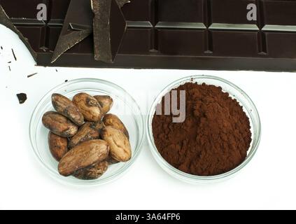 Les fèves de cacao, le cacao en poudre dans des bols de chocolat et isolé blanc Banque D'Images