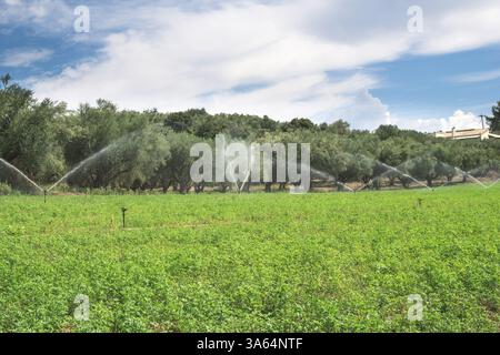 Les systèmes d'irrigation. Ciel bleu Banque D'Images