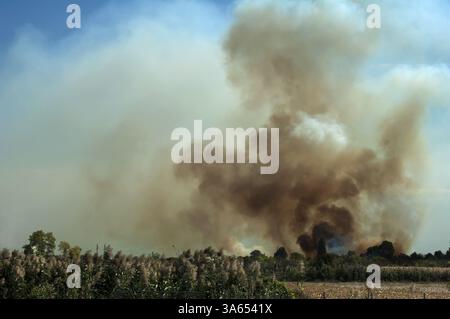Feu dans un champ et épais nuages de fumée dans le ciel Banque D'Images