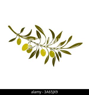 Symbole antique olive. Branche de vecteur, fruit d'huile, feuilles de bronze. Nature italie illustration. Produit pétrolier grec, récolte agricole Illustration de Vecteur
