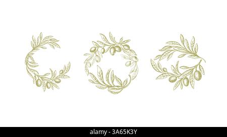 Placez la couronne d'olive en cercle. Branche de texture vectorielle de l'arbre, feuilles vertes, fruits frais isolés sur fond blanc. Collection graphique vintage de symbo Illustration de Vecteur