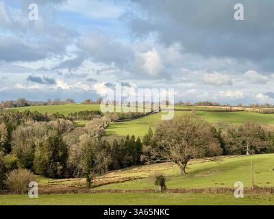 Limekiln Lane, Winsham Somerset : vues sur les champs au printemps Banque D'Images