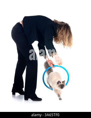 chat sibérien et propriétaire devant fond blanc Banque D'Images