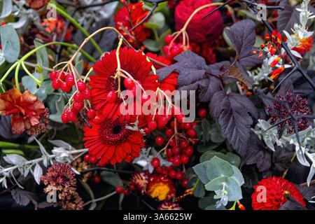 Belle composition de fleurs d'automne de gerbera rouge, hypericum et rowan baies et feuilles de bladderwort. Banque D'Images