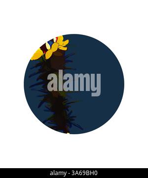 Un amas vibrant de fleurs jaunes émerge sur un fond bleu profond, avec un feuillage vert foncé subtil ajoutant de la profondeur et du contraste. La composition met en valeur la beauté de la nature de manière frappante et minimaliste. Art classique avec une touche moderne réinventé par Artotop, transformé Ulex eu-nanus, Dwarf Furze Banque D'Images