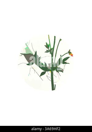 Un arrangement délicat de feuilles vertes et de tiges minces, entrelacées avec une petite fleur, crée une composition organique et sereine. Les éléments se mélangent harmonieusement sur un fond plus doux, évoquant un sentiment de tranquillité et de nature. Art classique avec une touche moderne réinventé par Artotop, transformé Thalictrum Flexuosum zigzag Meadow Rue Banque D'Images