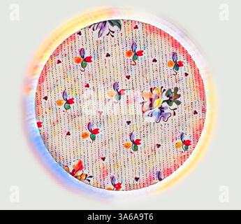 Une surface circulaire ornée d'un motif floral vibrant, avec des fleurs colorées et des motifs ludiques entrecoupés de lignes et de points délicats. Art classique avec une touche moderne réinventé par Artotop, transformé les tissus français, première moitié du XIXe siècle Banque D'Images