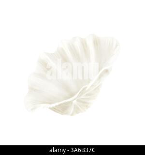 La coquille de l'hippopus palourde. Illustration numérique de l'aquarelle. Coquille d'huître perle, nuances beige, isolée sur fond blanc. Banque D'Images