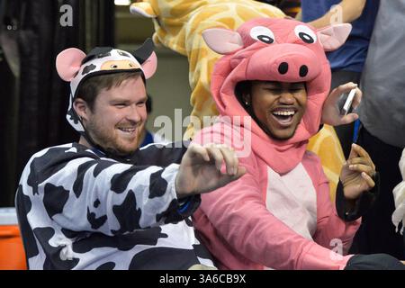 Jan. 14, 2015 - créé Louis, Missouri, U. S - Members of the prévoyant Louis Student Body vêtus d'un costume de vache et de cochon lors d'un match-conférence entre l'Université Louis Billikens et les Duquesne Dukes joués dans un parfait Louis, MO. À Chaifetz Arena. Où Louis bat Duquesne 78-69 (crédit image : © Richard Ulreich/ZUMA Wire) Banque D'Images