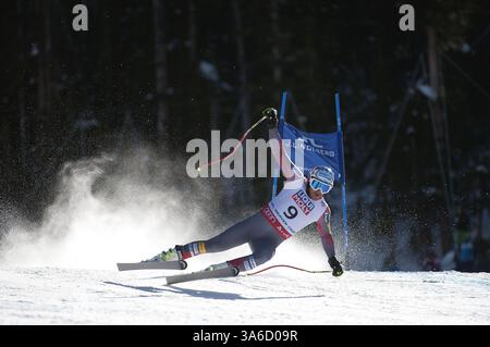 5 février 2015 - Beaver Creek, Colorado, U. S - BODE MILLER, des États-Unis, a brièvement mené le PELOTON avant de s’écraser dans le super-G masculin jeudi aux championnats du monde de ski alpin. Miller a frappé son bras gauche sur une barrière, a tourné en arrière et a perdu les deux skis dans un crash jeudi à la Coupe du monde. (Crédit image : © Jason Connolly/ZUMA Wire/ZUMAPRESS.com) Banque D'Images