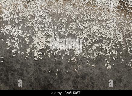 Ancienne peinture craquelée sur les anciennes cartes. Mur en bois Banque D'Images