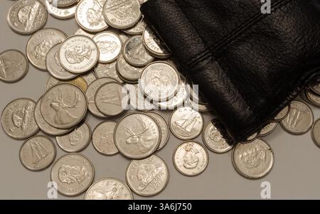 Pièces d'argent étalées sur un fond blanc sous une pochette en cuir noir Banque D'Images