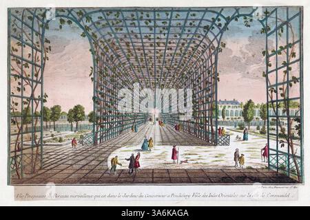 Perspective du merveilleux berceau qui se trouve dans le jardin du gouverneur de Pondichéry dans la ville des Indes orientales sur la côte de Coromandel Inde, gravure colorée, par Jean François Daumont œuvre d'art vntage impression antique, feuillage dans le jardin des govenors Banque D'Images